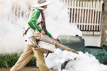 Americana registra 4ª morte por dengue e iguala 2º pior ano em número de mortes